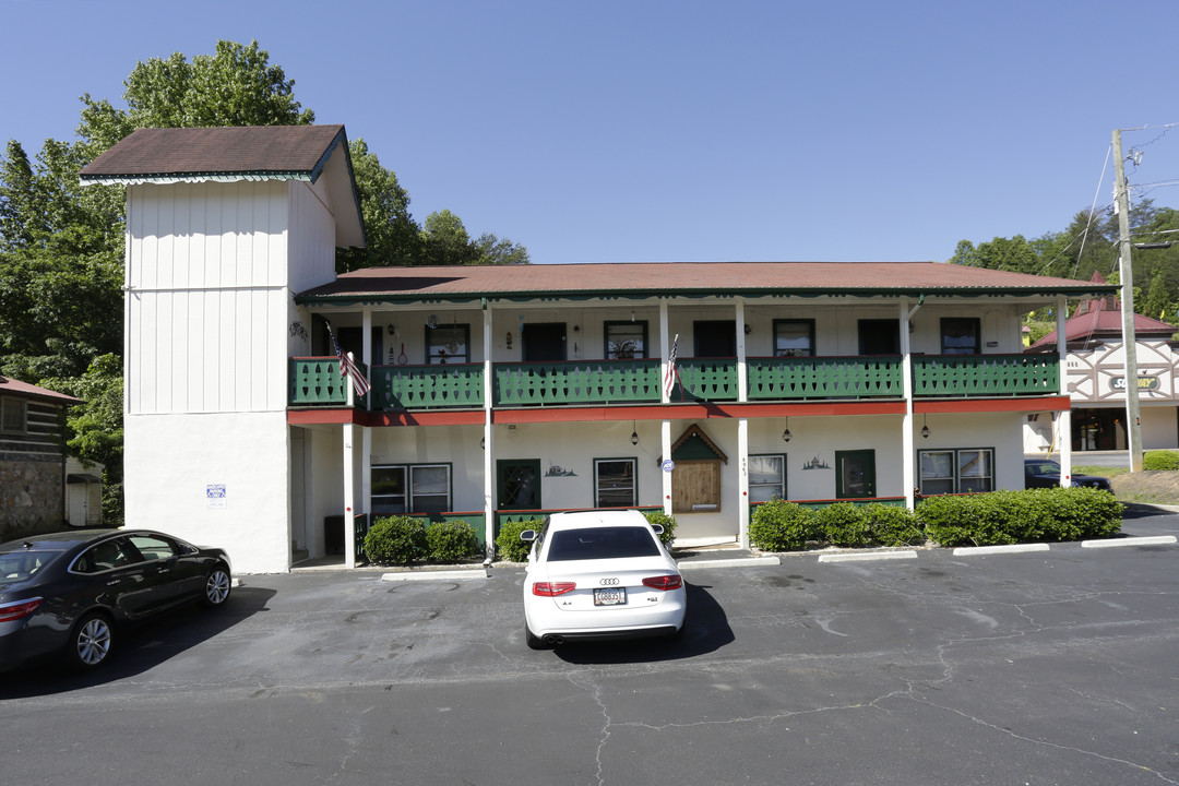 8063 S Main St in Helen, GA - Foto de edificio