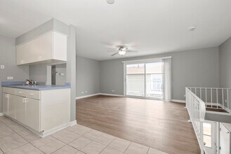 7924 164th Pl in Tinley Park, IL - Building Photo - Building Photo