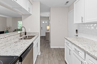 SouthFork Townhomes + Flats in Lakeville, MN - Building Photo - Building Photo