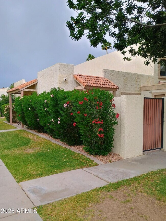 6102 N 79th St in Scottsdale, AZ - Building Photo - Building Photo