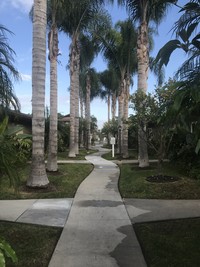 Elmwood in Buena Park, CA - Foto de edificio - Building Photo