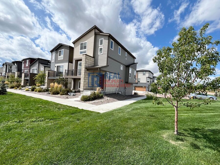 8792 Wolf Valley Dr. in Colorado Springs, CO - Building Photo
