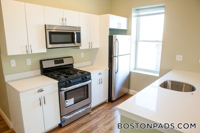 301-305-305 Dudley St