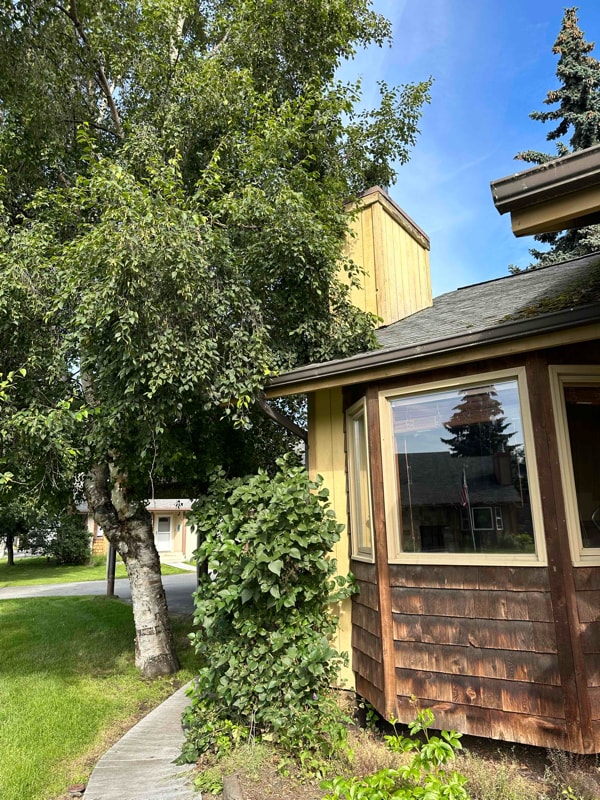 9612 Newhaven Loop in Anchorage, AK - Building Photo - Building Photo