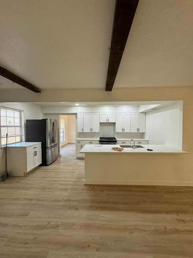 3825 Old Faithful Ct in Irving, TX - Building Photo - Building Photo