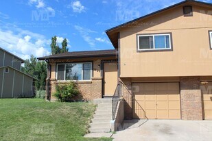 1709 Banyan Dr in Fort Collins, CO - Building Photo