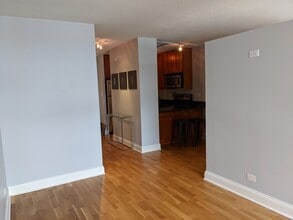 450 W Briar Plz, Unit 8E in Chicago, IL - Foto de edificio - Building Photo