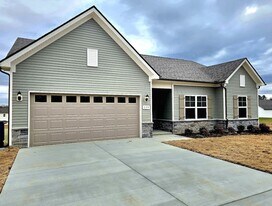 229 Republic St in Shelbyville, TN - Building Photo