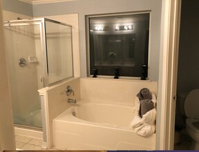 1029 Forest Bluff Trail, Unit Full House in Round Rock, TX - Foto de edificio - Building Photo