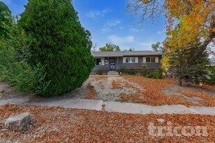 1312 Rainier Dr in Colorado Springs, CO - Building Photo