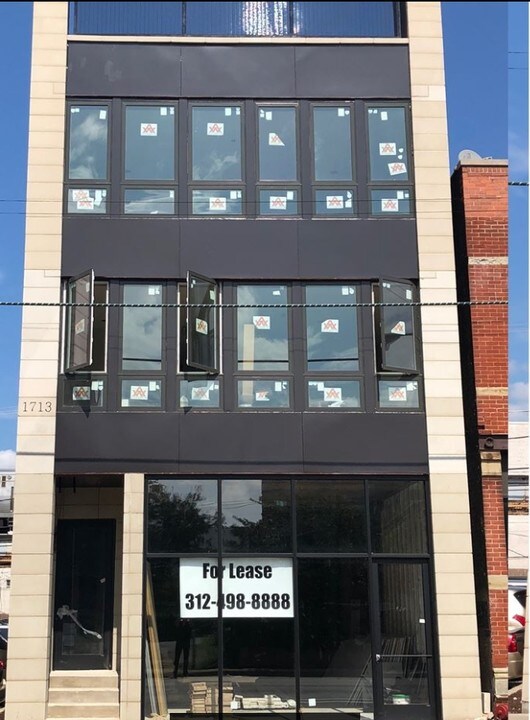1713 N Clybourn Ave in Chicago, IL - Building Photo
