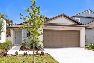 17862 Blissful Stars Dr in Lutz, FL - Building Photo