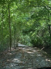 243 Crestview Dr in Mount Juliet, TN - Building Photo - Building Photo