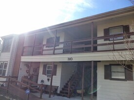 310 Patriot Ln in Williamsburg, VA - Building Photo