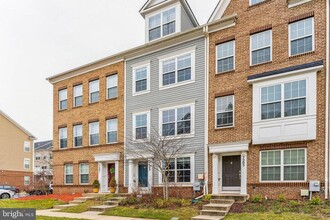 7203 Silver Thorn Way in Beltsville, MD - Building Photo - Building Photo