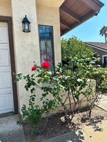 1465 Vaquero Gln in Escondido, CA - Building Photo