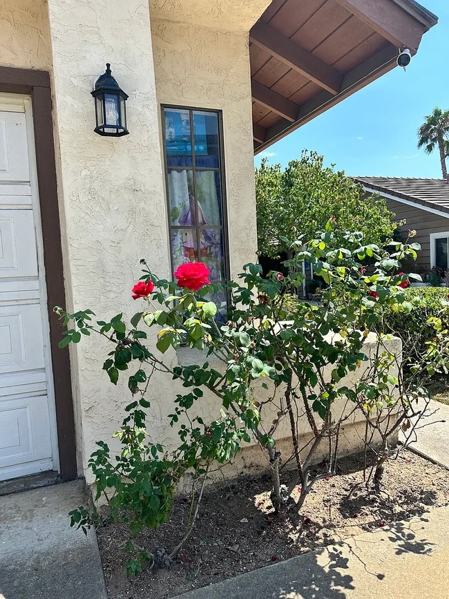 property at 1465 Vaquero Gln