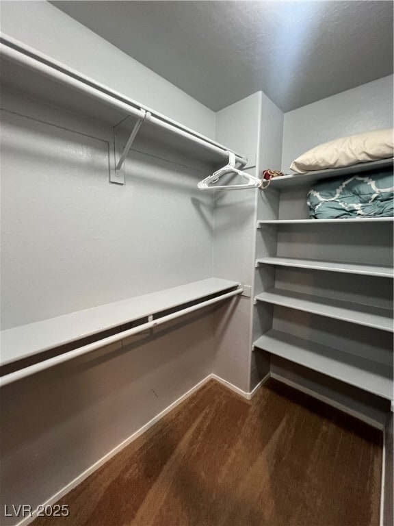 property at 10156 Palazzo Marcelli Ct