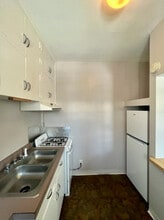 Frances Apartments in Denver, CO - Building Photo - Building Photo
