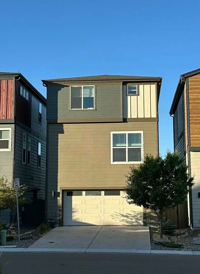 11254 Modern Meadow Loop in Colorado Springs, CO - Building Photo - Building Photo