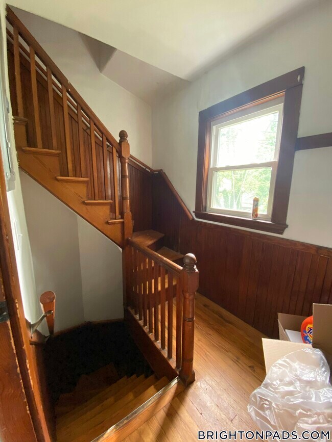 233 Commonwealth Ave in Newton, MA - Building Photo - Building Photo
