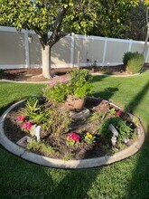 1163 Via Vista Dr in Riverside, CA - Building Photo - Building Photo