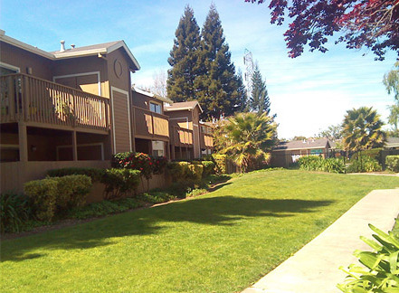 Lund Garden Apartments in Hayward, CA - Building Photo - Building Photo