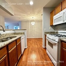 14162 Cuddy Loop in Woodbridge, VA - Building Photo - Building Photo