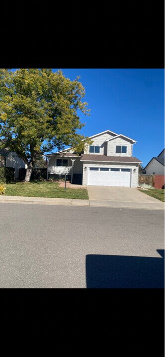 967 Claremont Pl in Loveland, CO - Building Photo