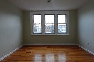 117-119-119 Parkview Terrace in Newark, NJ - Building Photo