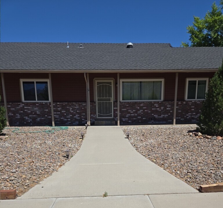 697 Bluerock Rd in Gardnerville, NV - Building Photo