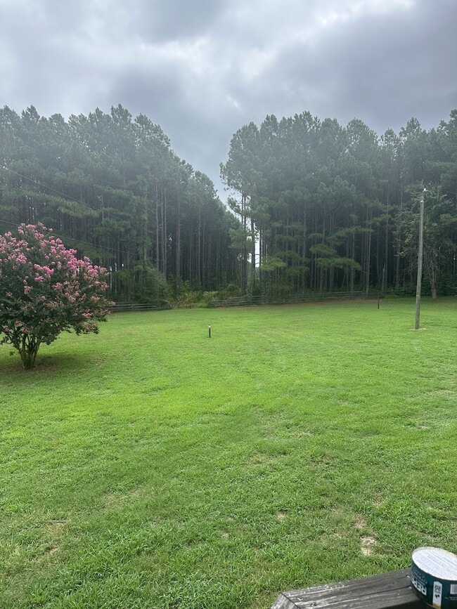 110 Williamson Ln in Wendell, NC - Building Photo - Building Photo