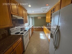 37029 Spruce St in Newark, CA - Building Photo - Building Photo