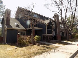 3565 Windmill Dr in Fort Collins, CO - Building Photo