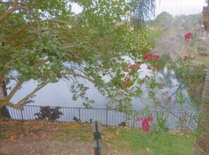 11901 4th St N, Unit #3202 in St. Petersburg, FL - Building Photo - Building Photo