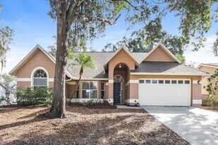 4551 Oak River Cir in Valrico, FL - Building Photo
