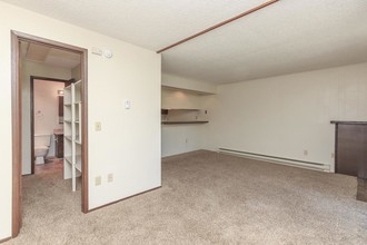 Lincoln Village Apartments in Spokane, WA - Building Photo - Interior Photo