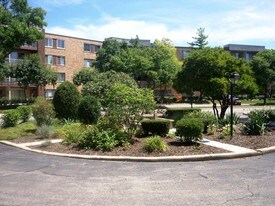 225 S Rohlwing Rd in Palatine, IL - Building Photo