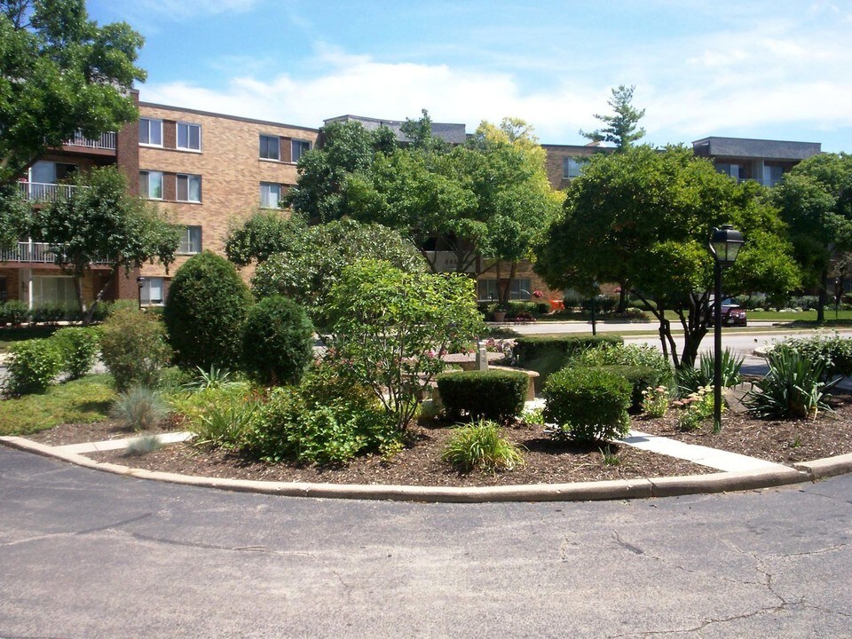 225 S Rohlwing Rd in Palatine, IL - Building Photo