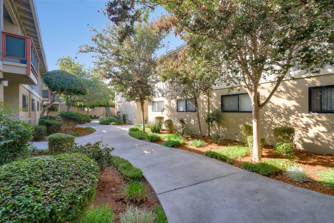 Cedar Apartments in Fremont, CA - Building Photo