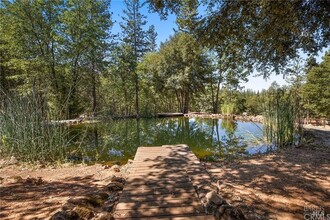 9259 Antler Hill Dr in Kelseyville, CA - Building Photo - Building Photo