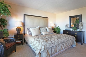 The Pointe Apartments in El Paso, TX - Foto de edificio - Building Photo