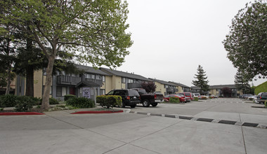 The Flint Court Apartments in Hayward, CA - Building Photo - Building Photo