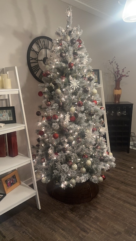 1920 E Mohawk Cir in Olathe, KS - Building Photo - Building Photo