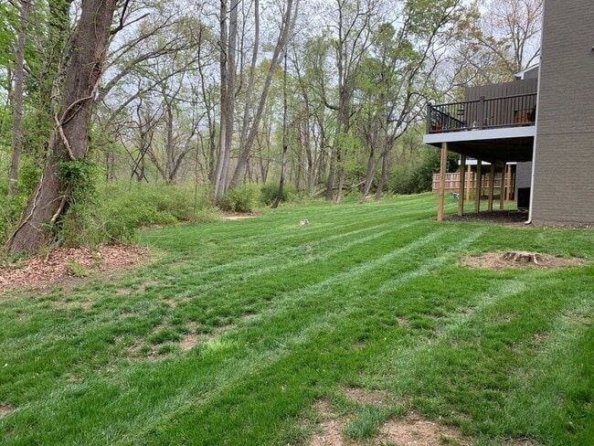 249 Stribling Ave in Charlottesville, VA - Building Photo - Building Photo