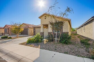665 E Rojo Way in Gilbert, AZ - Building Photo - Building Photo