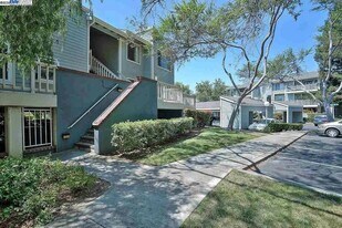 37155 Aspenwood Common in Fremont, CA - Building Photo