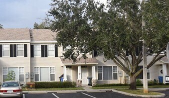 10909 Black Swan Ct in Seffner, FL - Building Photo
