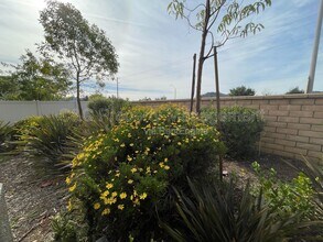 35124 Persano Pl in Fallbrook, CA - Building Photo - Building Photo