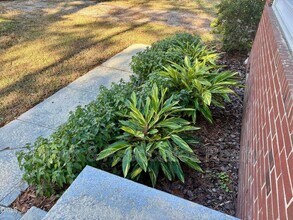 1019 Greenwich St in Raleigh, NC - Building Photo - Building Photo